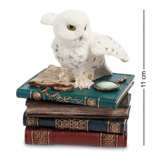 Шкатулка Сова на книгах A1984631
