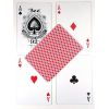 Карты "Bee Gold Gravity Standard Index Red / Blue" 44897
