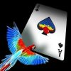 Infinity Playing Cards: D3PSY Standard Index – Идеальные Магические Карты