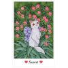 Affirmations of the Fairy Cats Tarot Deck & Book: Погрузитесь в волшебный мир сказочных аффирмаций