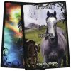Карты Таро "Animal Guidance  Aspects Oracle Cards" Solarus /  Руководство по Животным и Аспекты Кар 63369