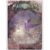 Карты Таро "Hummingbird Wisdom Oracle Cards" Red Feather / Оракул мудрости колибри 63520