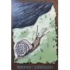 The Everglow Tarot: Исследуйте Вечное Свечение в Картах Таро Schiffer Publishing