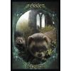 Карты Таро "Witches Familiars Oracle Cards" Solarus / Ведьмы Фамильяры Карты Оракула 63796