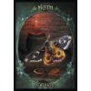 Карты Таро "Witches Familiars Oracle Cards" Solarus / Ведьмы Фамильяры Карты Оракула 63796