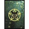 Карты Таро "Witches Familiars Oracle Cards" Solarus / Ведьмы Фамильяры Карты Оракула 63796