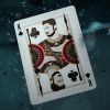 Black Panther Playing Cards - Theory11: Коллекционная Игральная Матрица