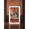 Карты "Stars of Magic Black Edition Playing Cards" 44814