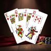 Карты Bullets 100% пластик, синяя рубашка 62209 – Полное руководство по планированию и анализу.