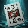 Black Panther Playing Cards - Theory11: Коллекционная Игральная Матрица