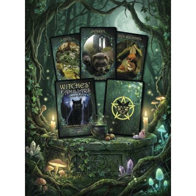 Карты Таро "Witches Familiars Oracle Cards" Solarus / Ведьмы Фамильяры Карты Оракула 63796